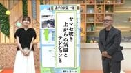 【福島県・6月23日の天気】梅雨寒はあすまで？寒暖差に要注意！今年は「ハイブリッド型」の梅雨に