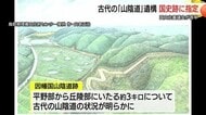 飛鳥時代から奈良時代の“ハイウェイ”「因幡国山陰道跡」国の史跡に　当時の最新工法で整備（鳥取）