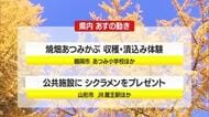 ＊11/19（水）の山形県内の主な動き＊