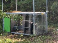 仙台市の公園近くに設置の箱わなでオスのクマ１頭を捕獲し駆除　若い成獣か　周辺では複数のクマ目撃情報
