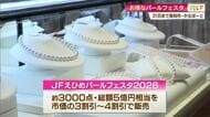 総額5億円相当の輝き！極上の真珠が集う「パールフェスタ」の魅力を“真珠大使”が解説【高知】