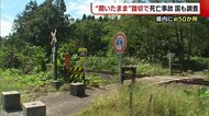 “開いたままの踏切”で死亡事故 新潟県内には約50か所 「近道だから…」地元の意向で廃止できず