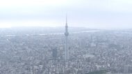 全国で30人の感染確認 東京は10人