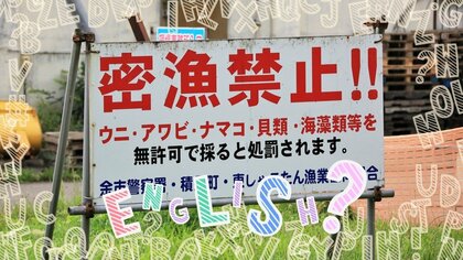 【コレ英語で言えますか？】ワタリガニの「密漁」