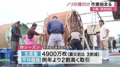 品質良く高値で取引される石巻産のノリ　今シーズンの種付け作業が開始　１１月上旬から収穫へ〈宮城〉