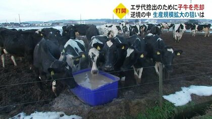 逆風でも牛舎新設…外国産飼料の価格高騰打開へ　今こそ「地域で持続可能な農業を」若手酪農家の思い【富山発】