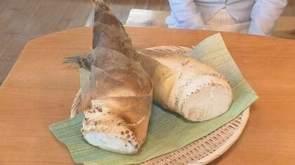 彦摩呂も絶賛！金沢タケノコが生で甘い理由とは？　金沢・内川の春を掘り起こせ――「みずみずしくて甘い」タケノコが紡ぐ、食と地域の物語