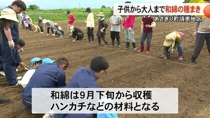 「須恵には＜ハジアイ＞が生きている」支え合うみんなで和綿の種をまきました【熊本】