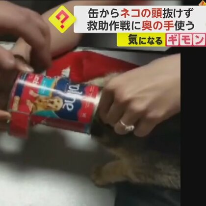 絶体絶命…“ネコの頭”が缶から抜けず　「空気が足りなくなってる」消防隊員たちが“奥の手”使って救出　トルコ