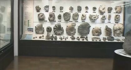 資金不足に陥り…国立科学博物館が「クラファン」開始　1億円目標に　コロナ禍や物価高騰が影響