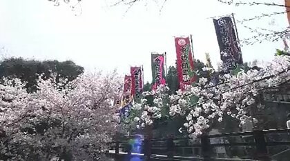 讃岐の春の風物詩「こんぴら歌舞伎」地元・琴平町が町内を彩る役者名入りなど「のぼり旗」寄付募集【香川】