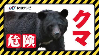 11日、羽後町西馬音内の町道でクマ1頭目撃　体長は約1メートル　店舗駐車場から道路を横断　秋田
