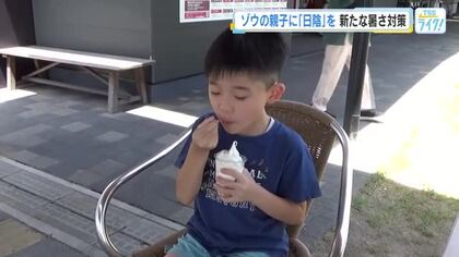 熱中症の疑いで搬送１３人　安芸太田町加計３８．３℃、府中市３７．６℃観測　週末も警戒を　３１日　広島