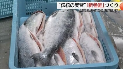 70年の伝統　高校生が「新巻鮭づくり」に挑戦　境港サーモン1600本を甘塩仕立てに（鳥取・境港市）