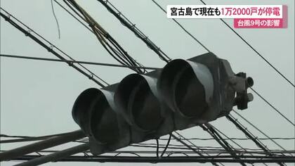 台風9号の影響で宮古島では1万2千戸あまり停電続く（12日午前11時時点）