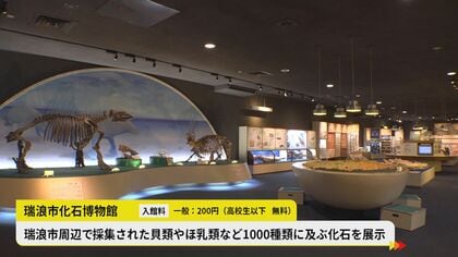 採集体験では学芸員も「ちょっとビックリ」…全国でも珍しい『化石の