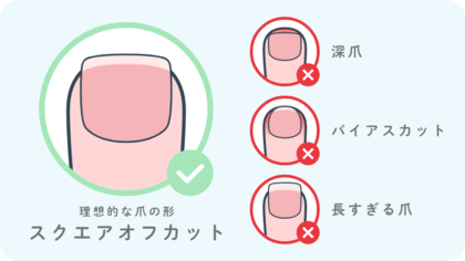 理想的な爪の形はこれ!