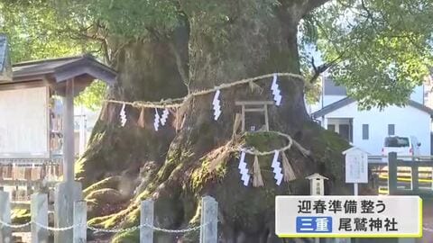 1本は樹齢1000年超と推定…尾鷲神社で約18mのしめ縄の張り替え 2本の大楠は“夫婦楠”として親しまれる