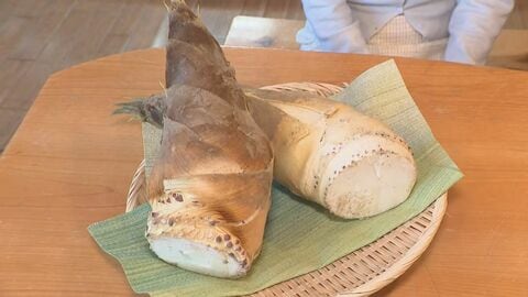 彦摩呂も絶賛！金沢タケノコが生で甘い理由とは？　金沢・内川の春を掘り起こせ――「みずみずしくて甘い」タケノコが紡ぐ、食と地域の物語