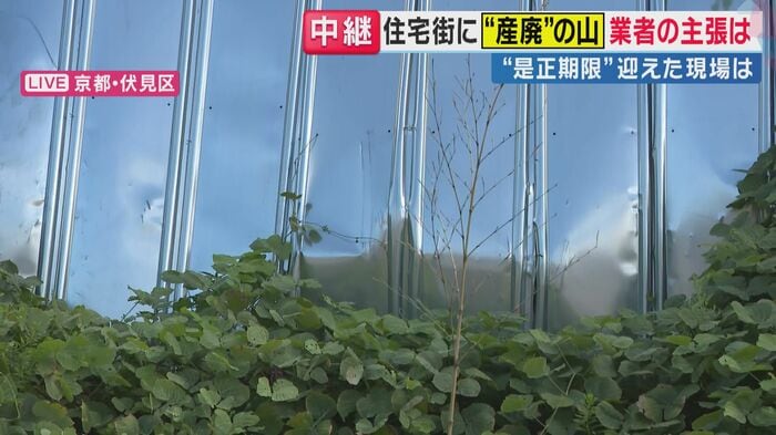 壁の一部が膨らみ、隙間も…(関西テレビ「旬感LIVE とれたてっ!」より)