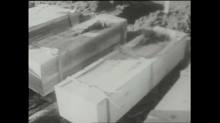 死者・不明者が1000人を超えた狩野川台風(1958年)