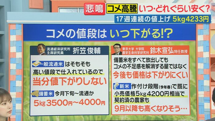 コメの価格はいつ下がる?
