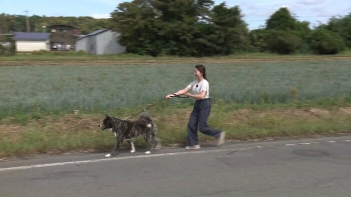 散歩体験コースは約500メートル