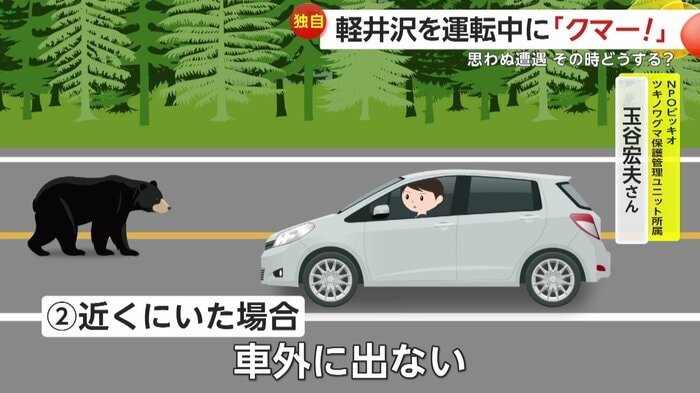 車外には出ることやエサをやることは絶対にダメ(イメージ)