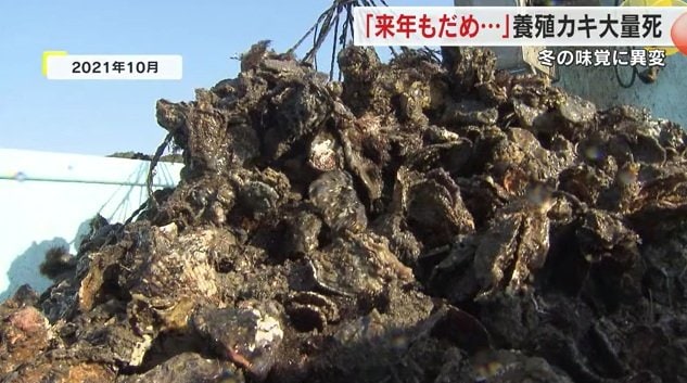 ２０２１年撮影