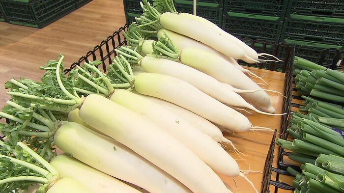 ダイコンは1本106円(税込み)