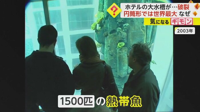 エレベーターに乗って水槽の中を鑑賞できた
