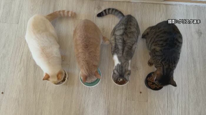 撮影：出口クリスタ選手