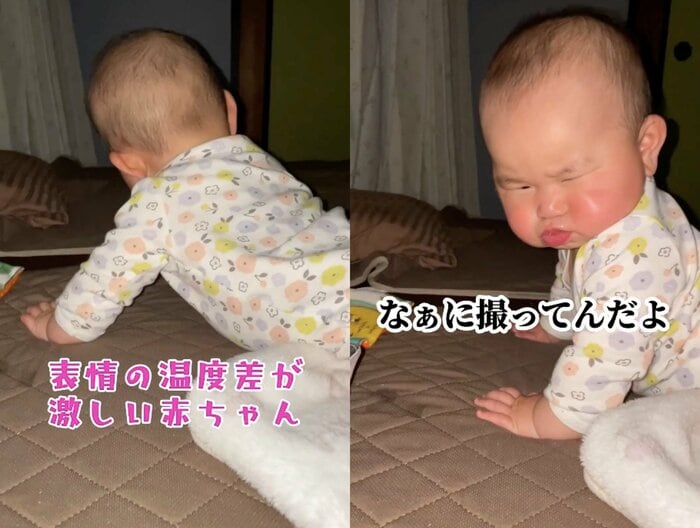 振り向くと「なぁに撮ってんだよ」(提供:とこ地蔵ちゃんさん)