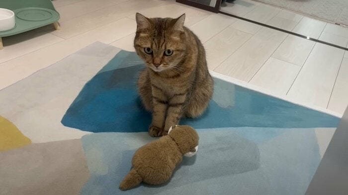 みにらくんとカワウソ君(提供:みにら日記-MiniraDiary-さん)