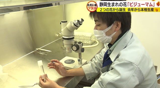 勝岡弘幸さん