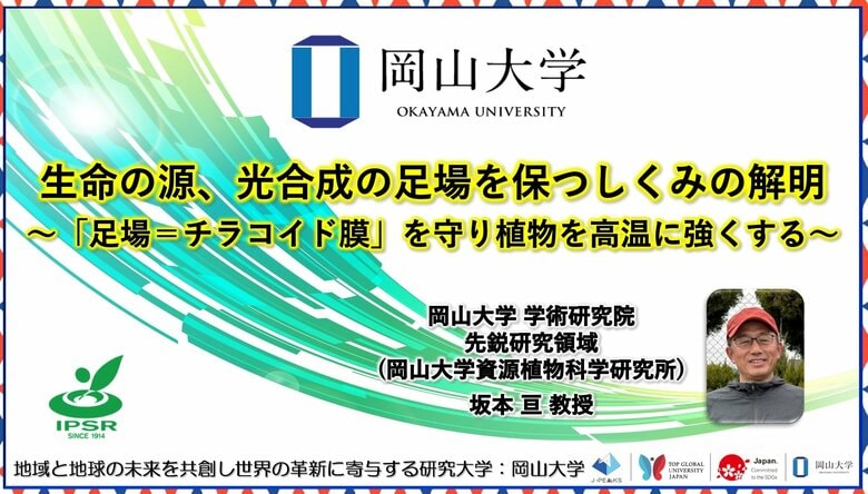 【岡山大学】生命の源、光合成の足場を保つしくみの解明~「足場=チラコイド膜」を守り植物を高温に強くする~