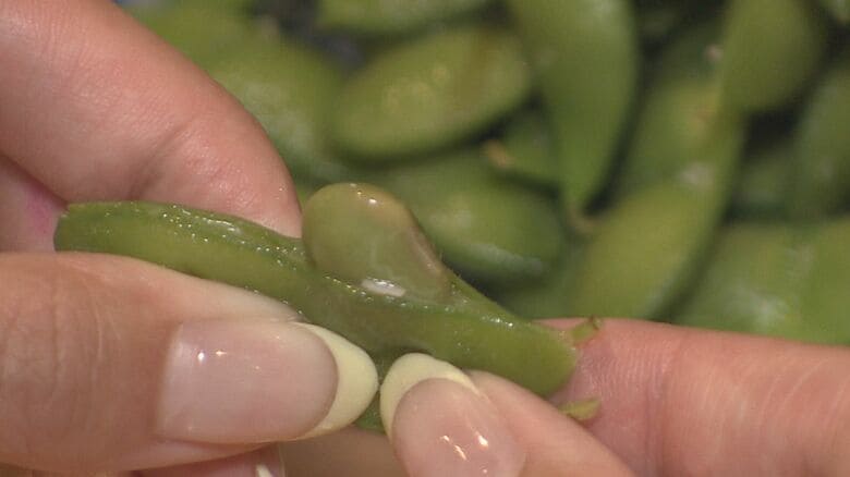 “盛り”だけでなく味も自慢　枝豆の作付面積16年連続1位の新潟県が誇る「新潟えだまめ盛」とは？｜FNNプライムオンライン