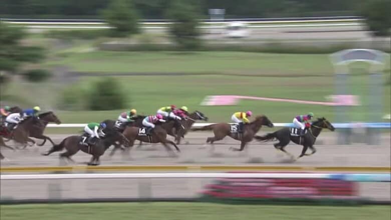 盛り上がる夏の新潟競馬　17日のメインレース“NST賞”は1番人気クロジシジョーが差し切り勝ち｜FNNプライムオンライン