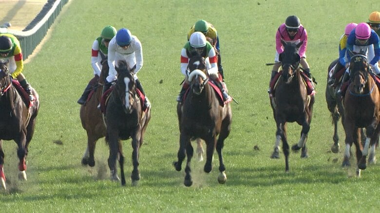 【中山記念＆チューリップ賞】中山と阪神でダブルGⅡ　第100回開催の伝統重賞＆桜花賞トライアル｜FNNプライムオンライン