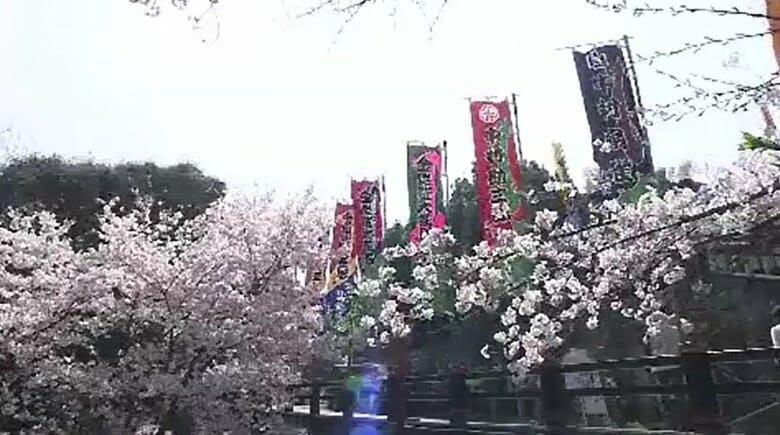 讃岐の春の風物詩「こんぴら歌舞伎」地元・琴平町が町内を彩る役者名入りなど「のぼり旗」寄付募集【香川】｜FNNプライムオンライン