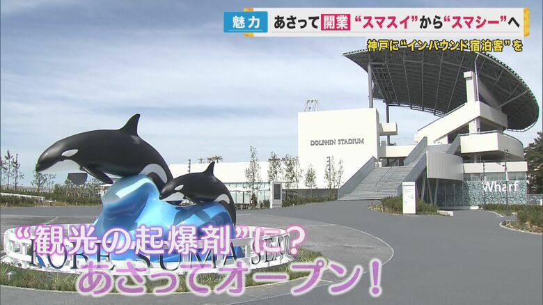 「シャチ」が目の前　日本初「イルカ」と触れ合えるプールも　『神戸須磨シーワールド』オープン｜FNNプライムオンライン