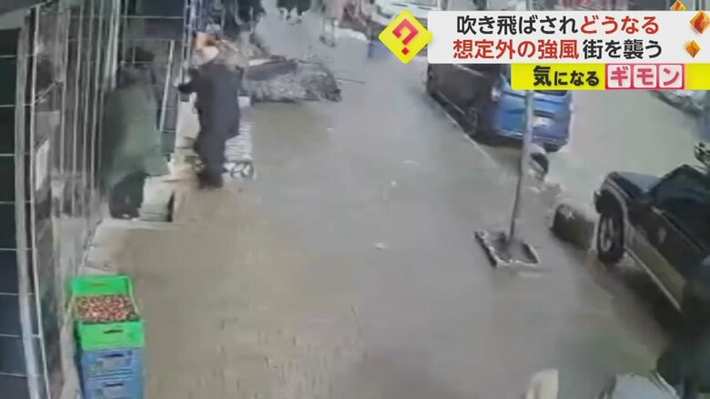 強風にあおられながら、街路樹にしがみつく瞬間①