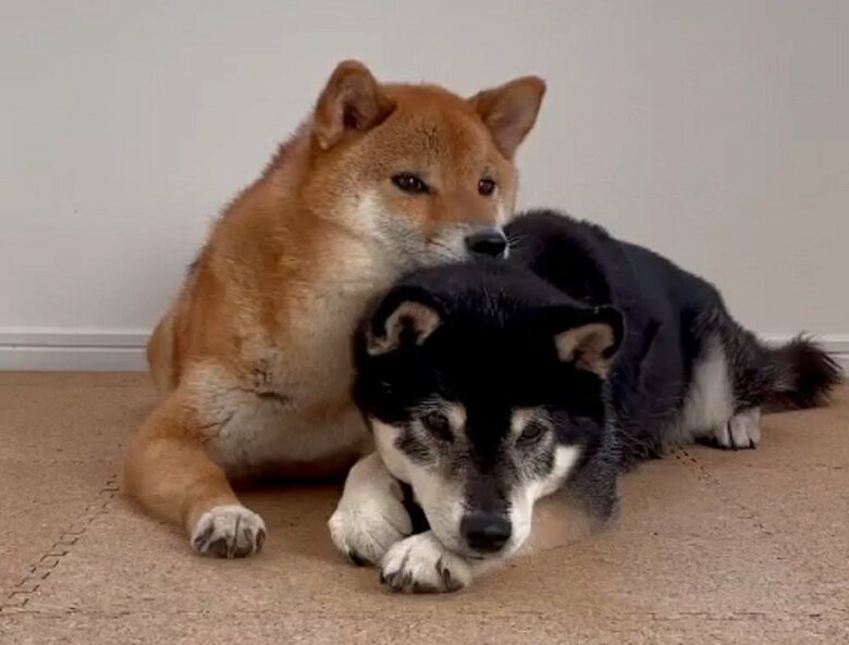 りなちゃんからはバックハグはしない。けど、あご乗せはできる