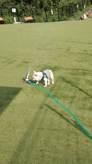 提供：むぎさん