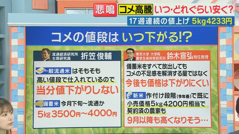 コメの価格はいつ下がる？