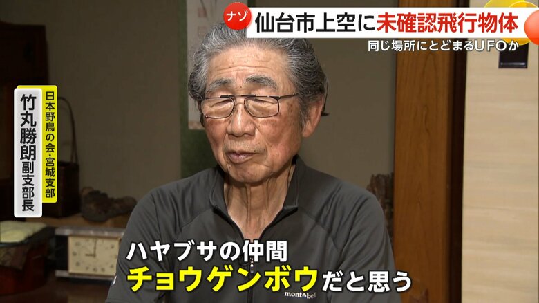 「チョウゲンボウという鳥だと思う」と話す日本野鳥の会・宮城支部 竹丸副支部長