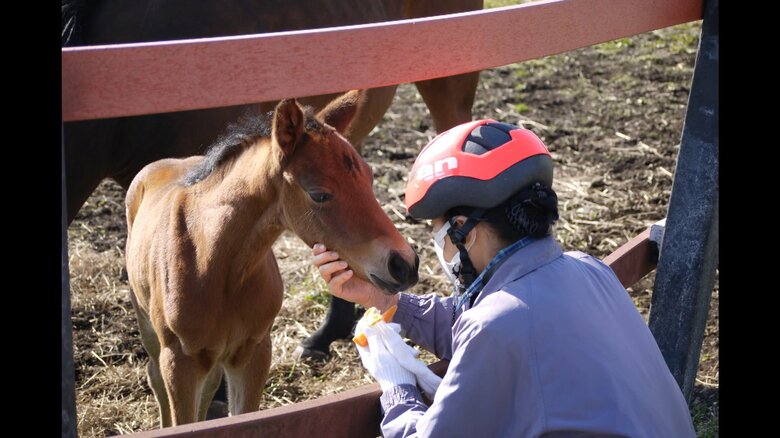 御料牧場に滞在されている際のご一家の写真が公開された（宮内庁提供）