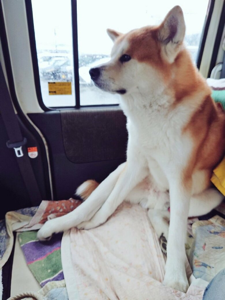 おしりを落ち着けてかわいらしい座り方