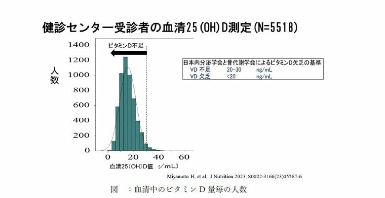 血清中のビタミン D 量毎の人数（画像提供：東京慈恵会医科大学）