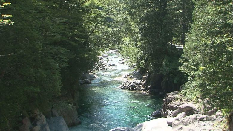 人気の『渓谷』で20代の男女流される 水遊び中か 女性は心肺停止の状態で発見 男性は行方不明 長野